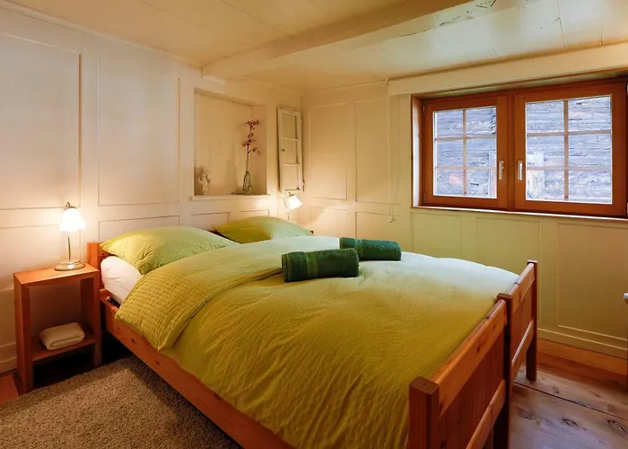 维乐公寓 Münster